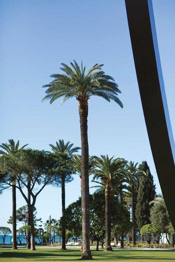 Apartment Ross 5- F2, Lumineux, Balcon, Loft, Clim, Vieux-nice Nice